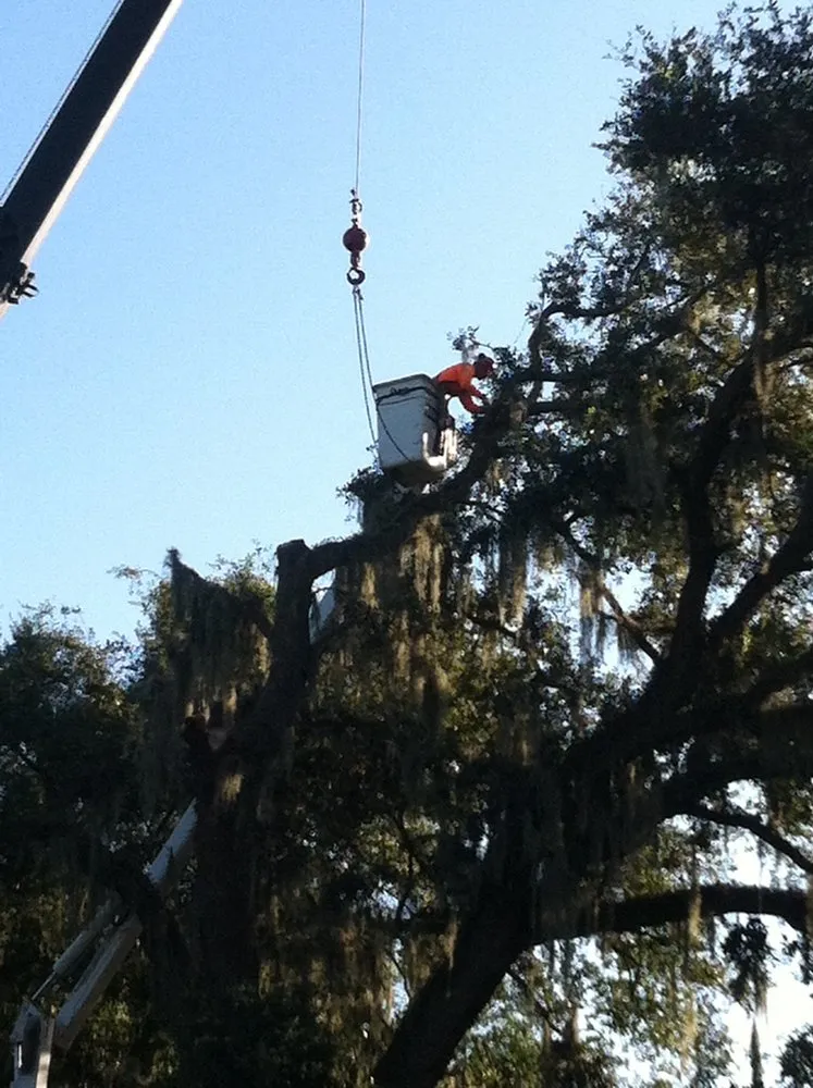 Affordable yard cleanup service for outdoor upgrades in Dade City, FL by Hart's Tree Service