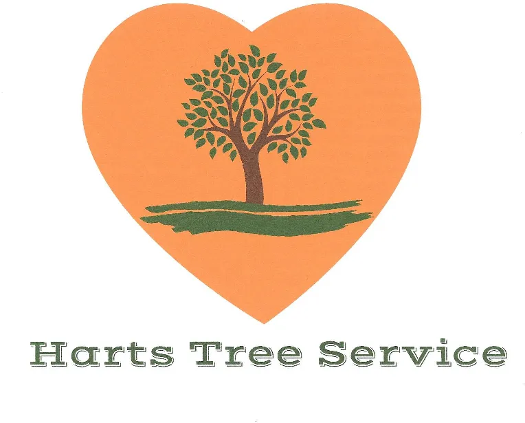Professional lawn mowing service in Dade City, FL - Hart's Tree Service