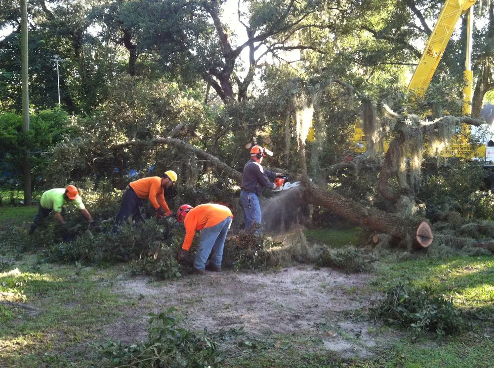 Top-rated residential landscaping for beautiful yards in Dade City, FL by Hart's Tree Service