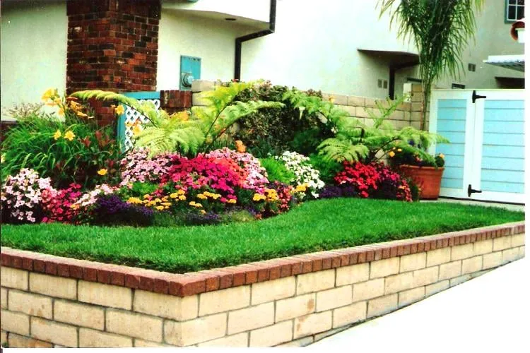 Expert lawn care service experts serving Westminster, CA - Hartscape Company