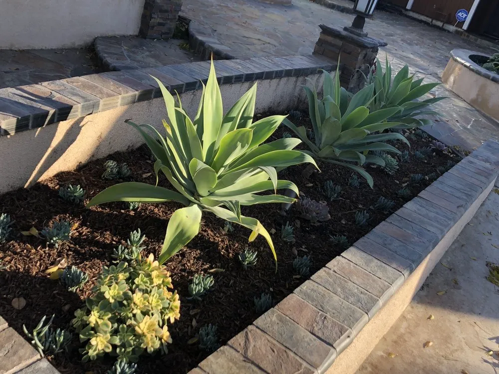 Professional garden landscaping experts serving Westminster, CA - Hartscape Company