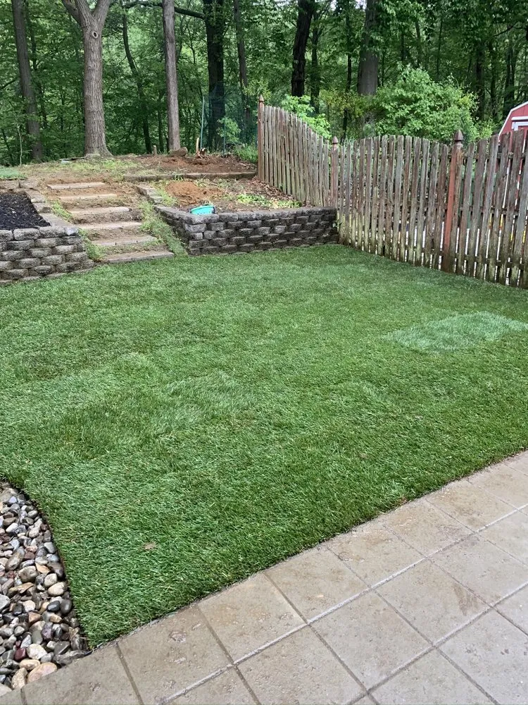 Reliable yard cleanup service in Sicklerville, NJ - Hartscapes