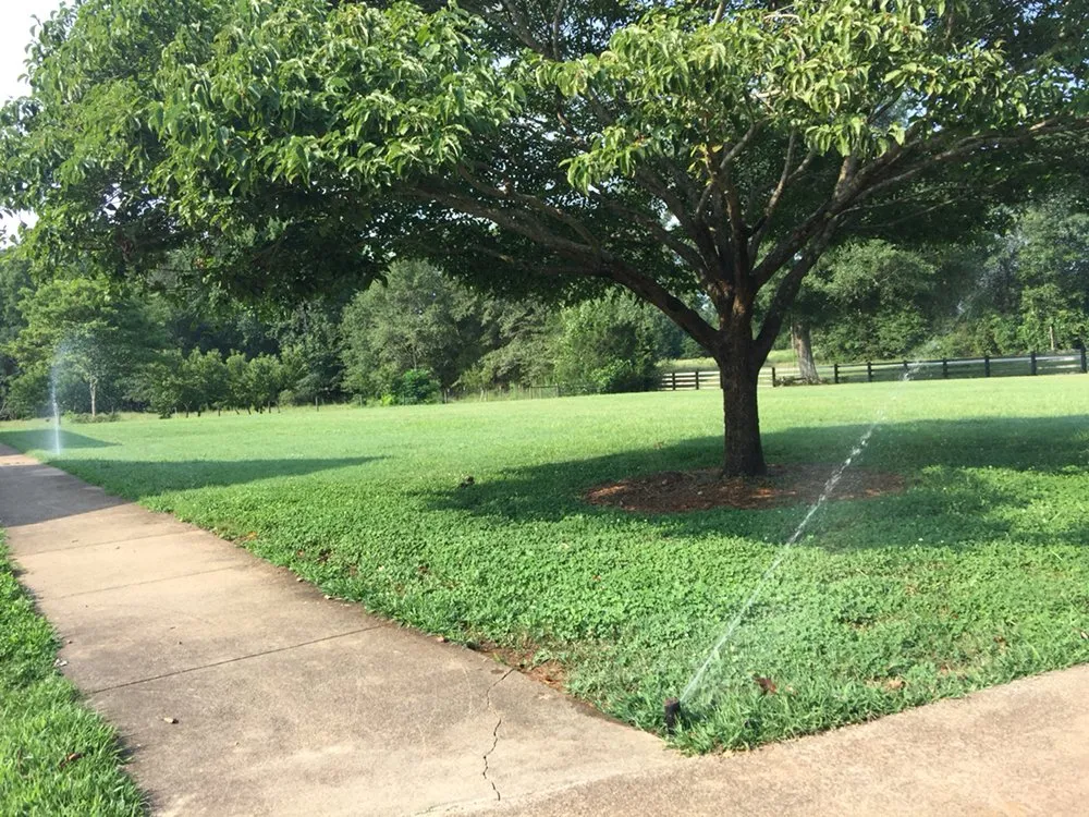 Trusted landscape installation for beautiful yards across Hartwell, GA - Hartwell HomeWatch