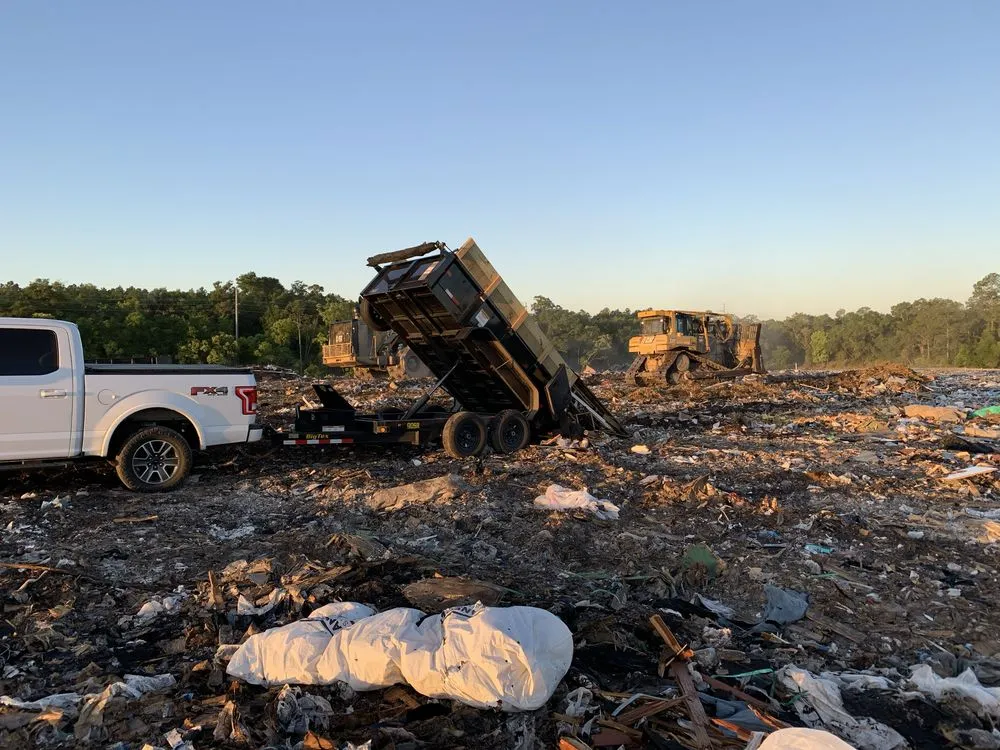 Expert yard cleanup service in Paisley, FL - Hartz Services