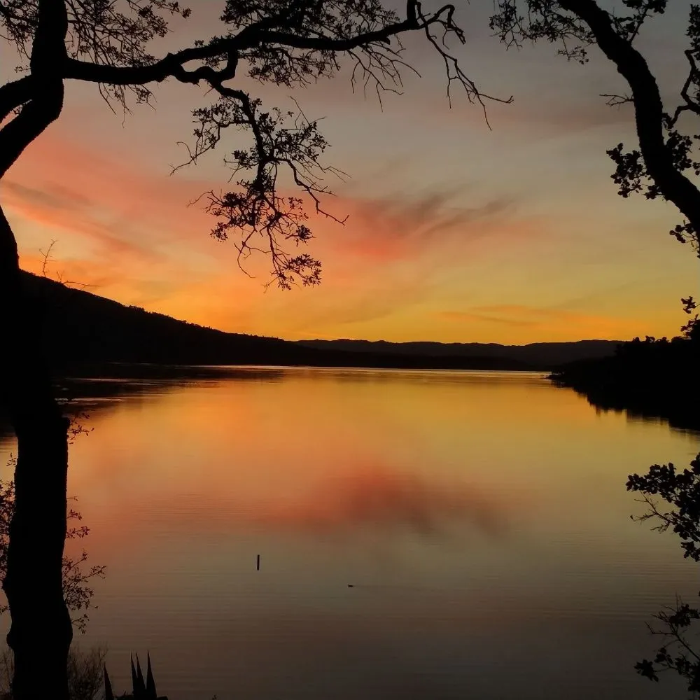 Custom garden landscaping near you in Clearlake, CA by Hartzell's Handyman Services