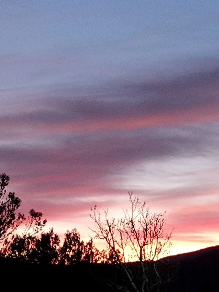 Reliable lawn mowing service for residential properties across Clearlake, CA - Hartzell's Handyman Services