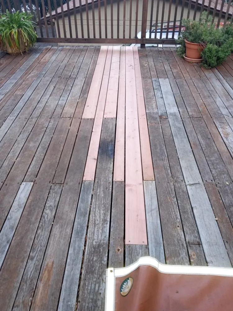 Affordable lawn care service experts serving Clearlake, CA - Hartzell's Handyman Services