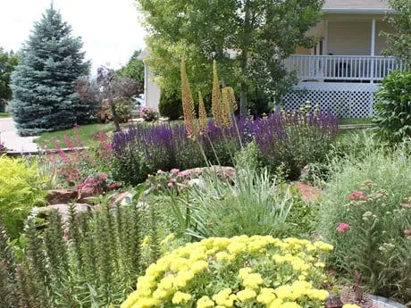 Reliable landscape installation experts serving San Diego, CA - Harvest and Bloom