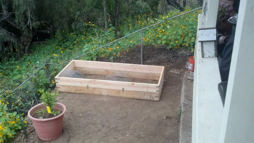 Local yard cleanup service in San Diego, CA - Harvest and Bloom