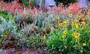 Trusted lawn mowing service for outdoor upgrades in San Diego, CA by Harvest and Bloom