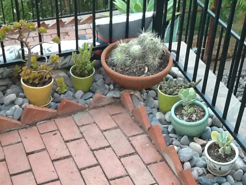 Professional garden landscaping experts serving San Diego, CA - Harvest and Bloom