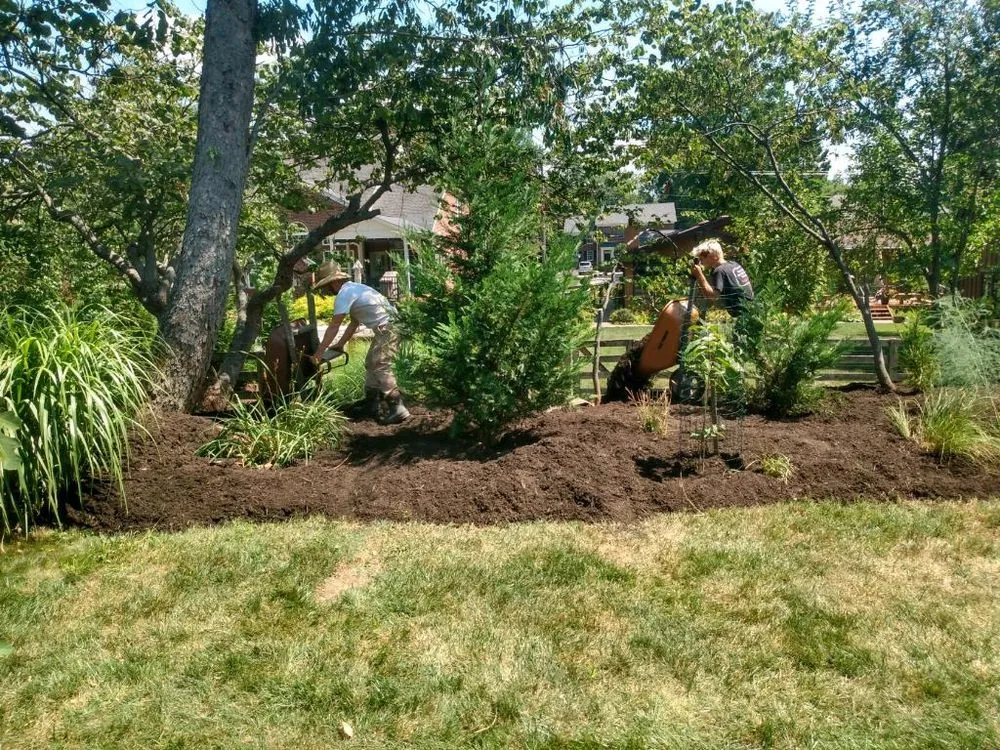Trusted yard cleanup service in Petersburg, KY - Harvest and Habitat