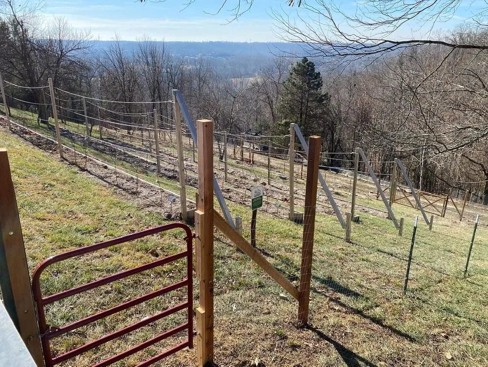 Top-rated lawn mowing service experts serving Petersburg, KY - Harvest and Habitat