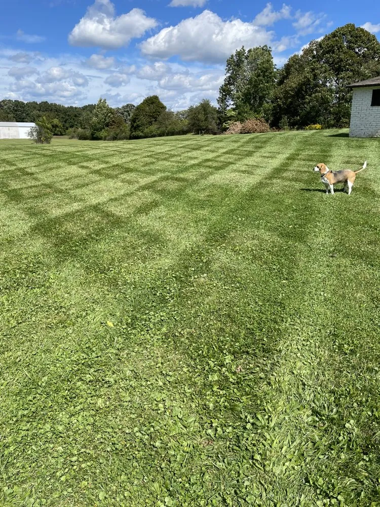 Reliable outdoor landscaping for year-round maintenance across Caledonia, NY - Harvest Creek Lawn Care