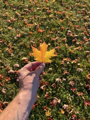 Harvest Creek Lawn Care