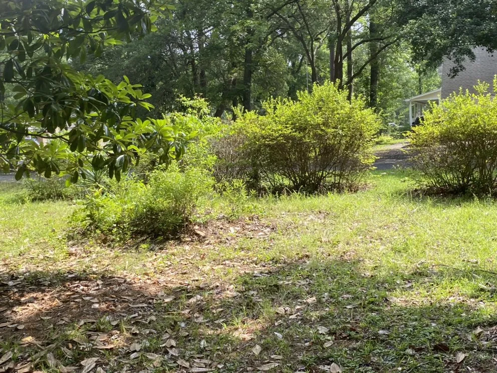 Trusted landscape design experts serving Ladson, SC - Harvest Green Landscape And Design