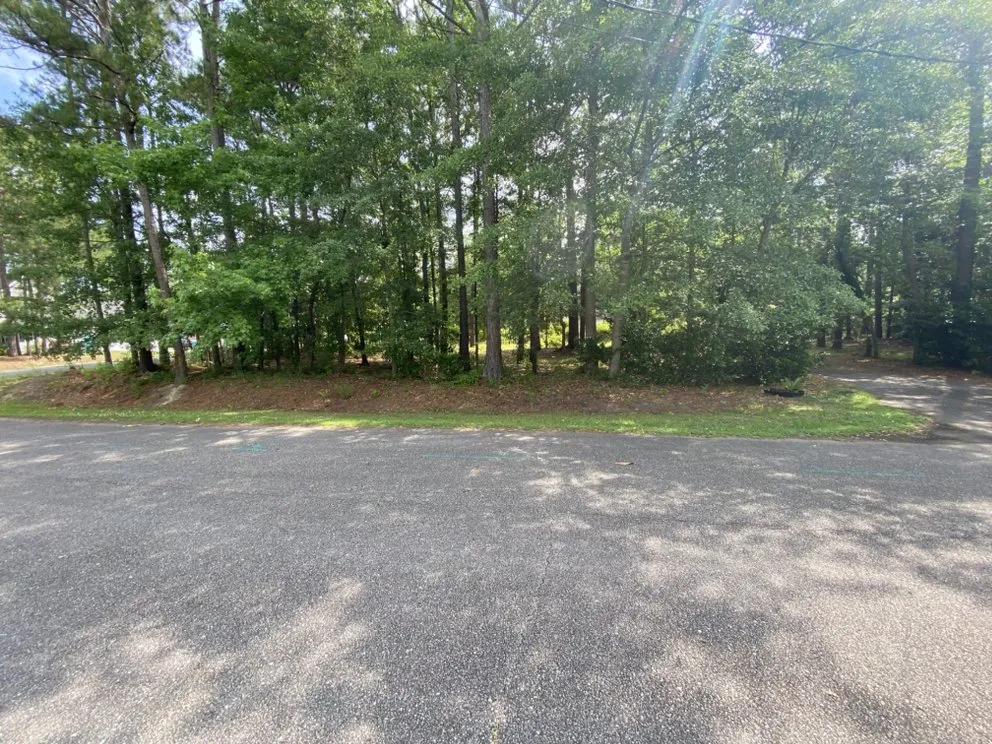 Top-rated landscaping services experts serving Ladson, SC - Harvest Green Landscape And Design