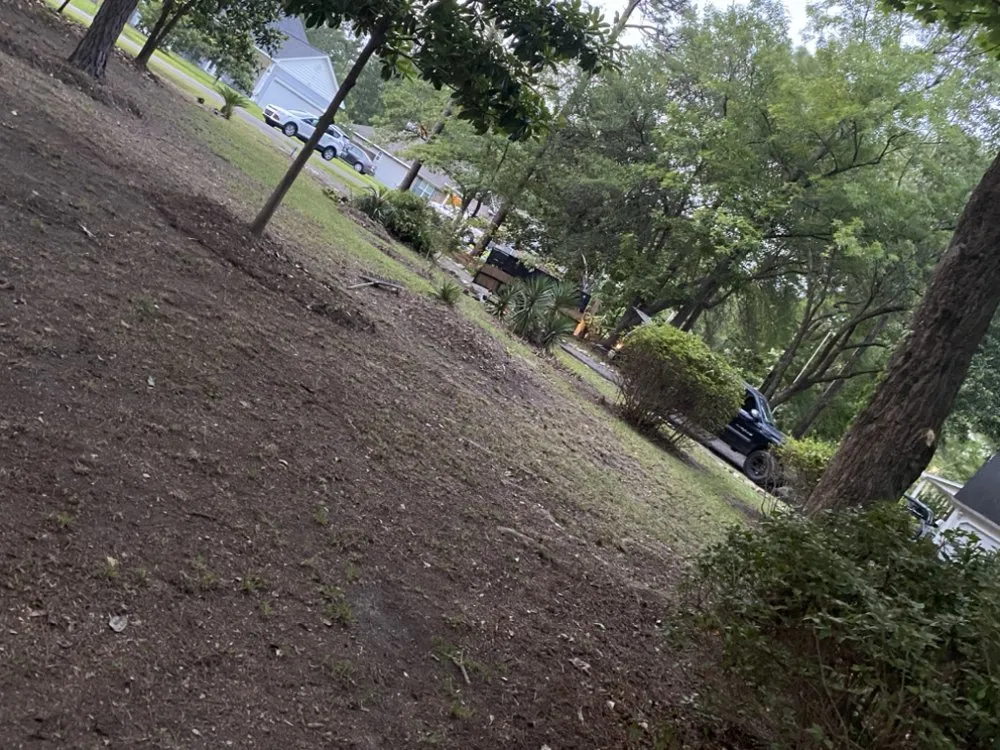 Professional outdoor landscaping in Ladson, SC - Harvest Green Landscape And Design