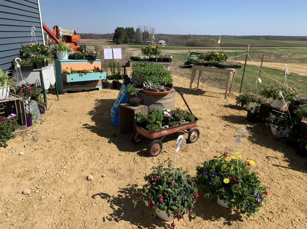 Expert landscaping services in Glenwood City, WI - Harvest Hill Landscape