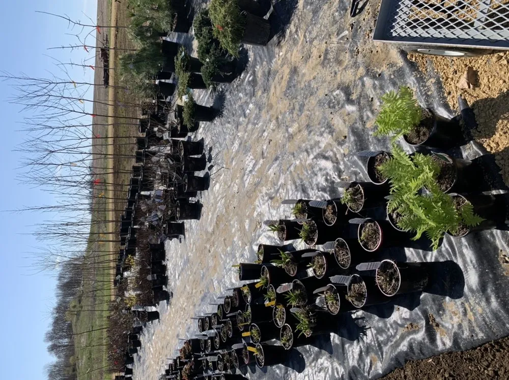 Custom residential landscaping experts serving Glenwood City, WI - Harvest Hill Landscape