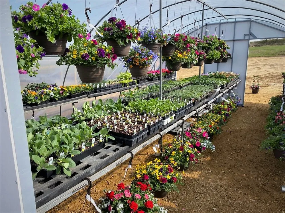 Professional landscape installation experts serving Glenwood City, WI - Harvest Hill Landscape