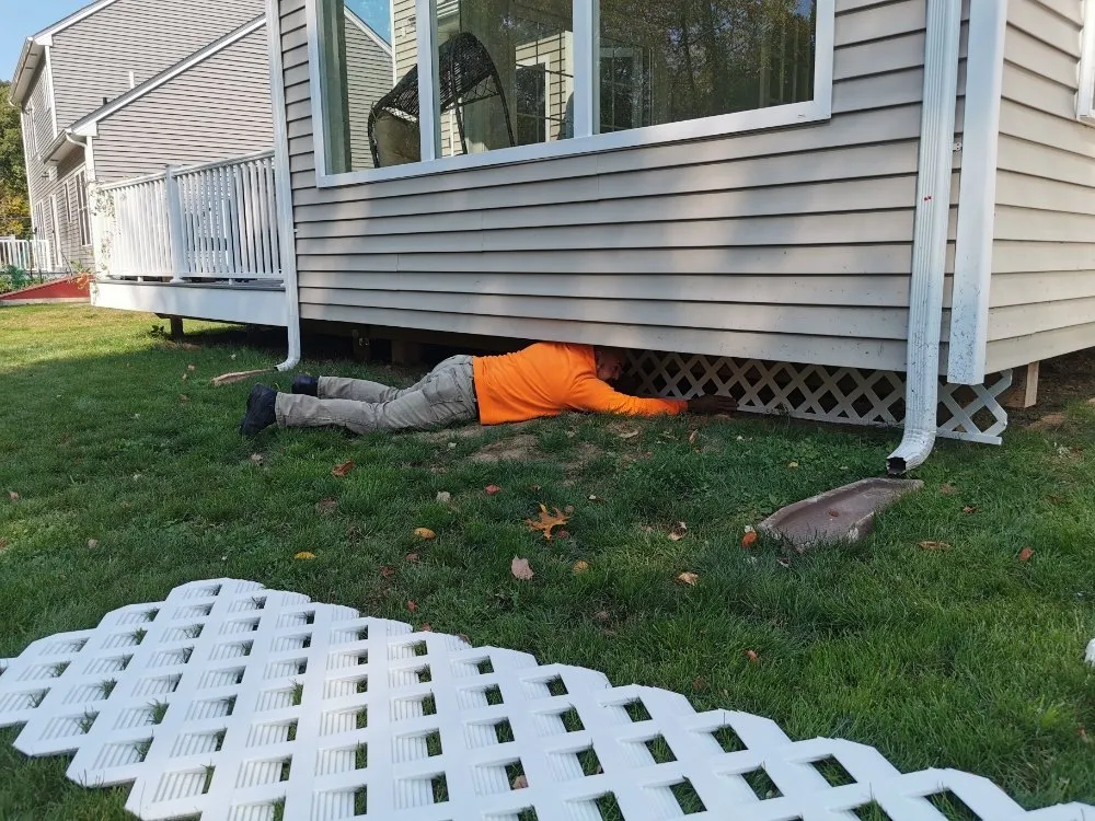 Professional yard maintenance in Manchester, CT by Harvest Landscaping