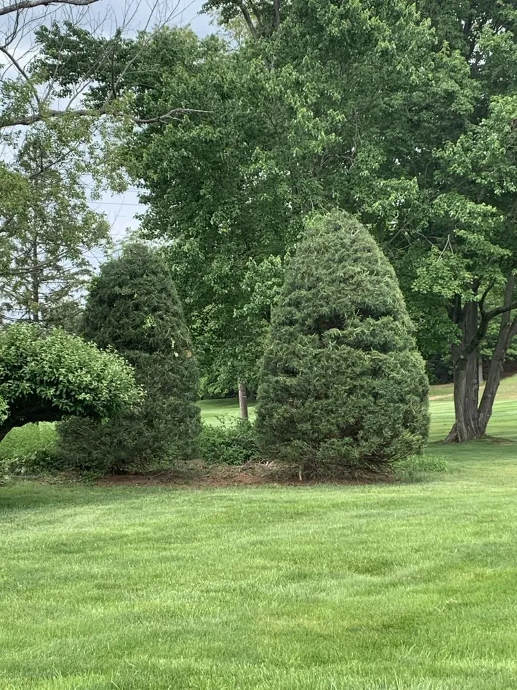 Reliable landscaping services with custom design in Manchester, CT by Harvest Landscaping