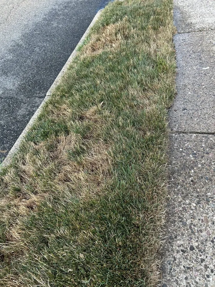 Custom residential landscaping in Franklin Lakes, NJ by Harvest Lawn Care