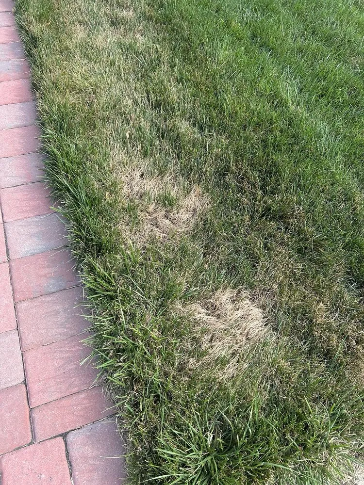 Top-rated yard cleanup service in Franklin Lakes, NJ - Harvest Lawn Care