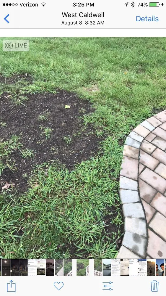 Trusted garden landscaping in Franklin Lakes, NJ - Harvest Lawn Care