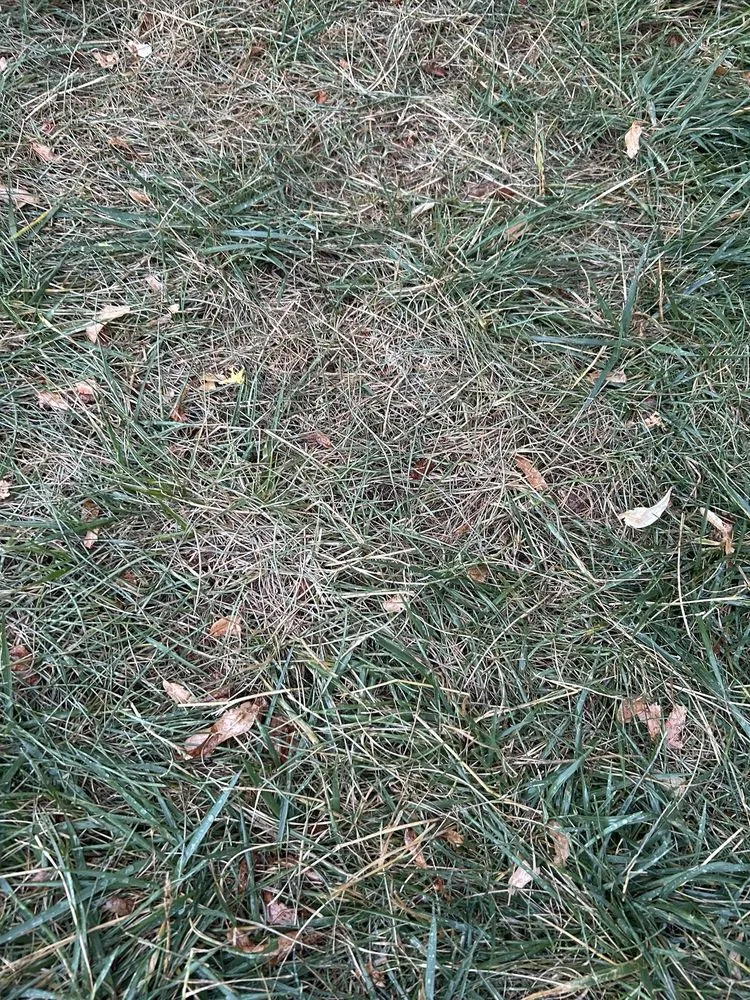 Affordable residential landscaping in Franklin Lakes, NJ - Harvest Lawn Care