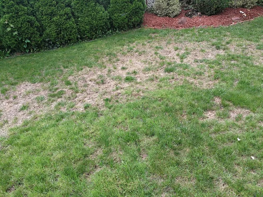 Top-rated landscape installation in Franklin Lakes, NJ by Harvest Lawn Care