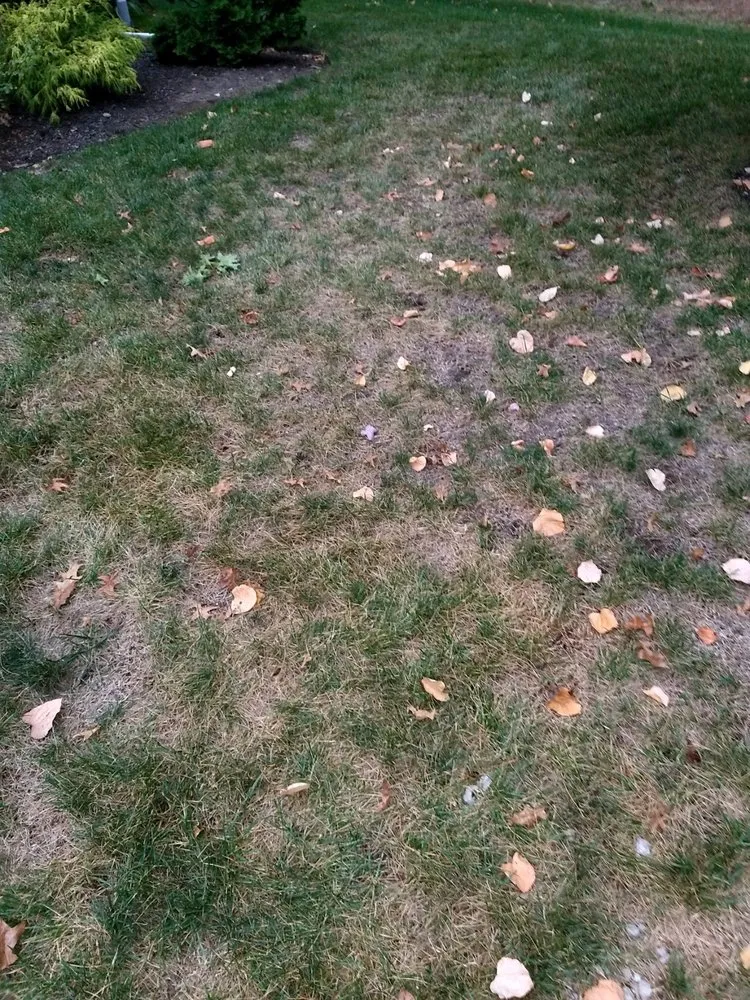 Trusted yard cleanup service for outdoor upgrades in Franklin Lakes, NJ by Harvest Lawn Care