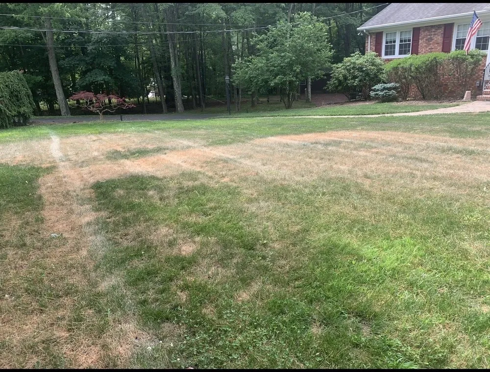 Local yard maintenance for year-round maintenance across Franklin Lakes, NJ - Harvest Lawn Care
