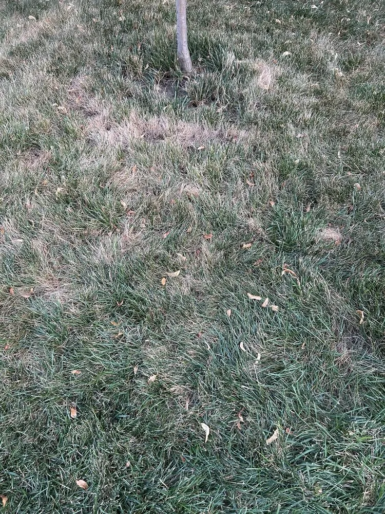 Affordable landscaping services in Franklin Lakes, NJ - Harvest Lawn Care