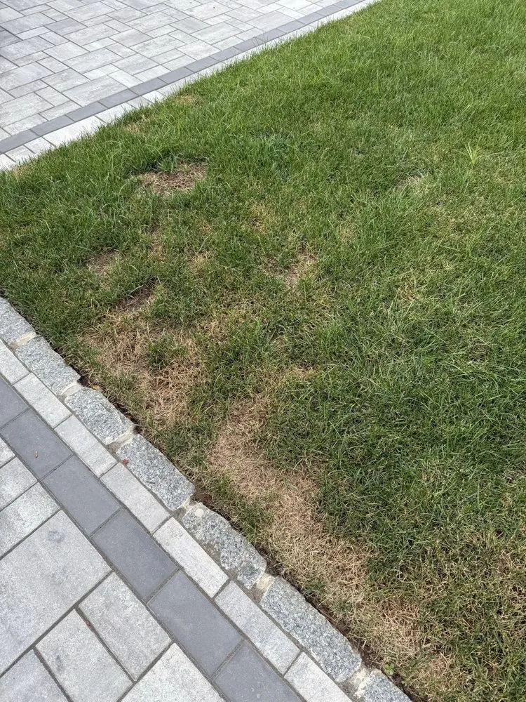 Local residential landscaping experts serving Franklin Lakes, NJ - Harvest Lawn Care