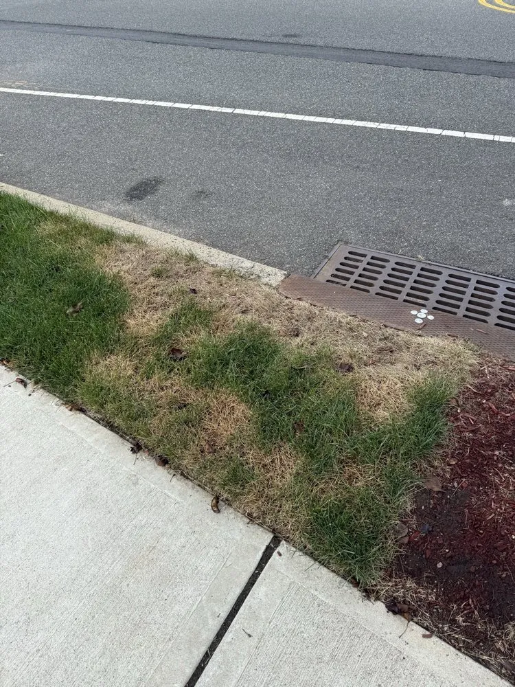 Trusted lawn care service experts serving Franklin Lakes, NJ - Harvest Lawn Care