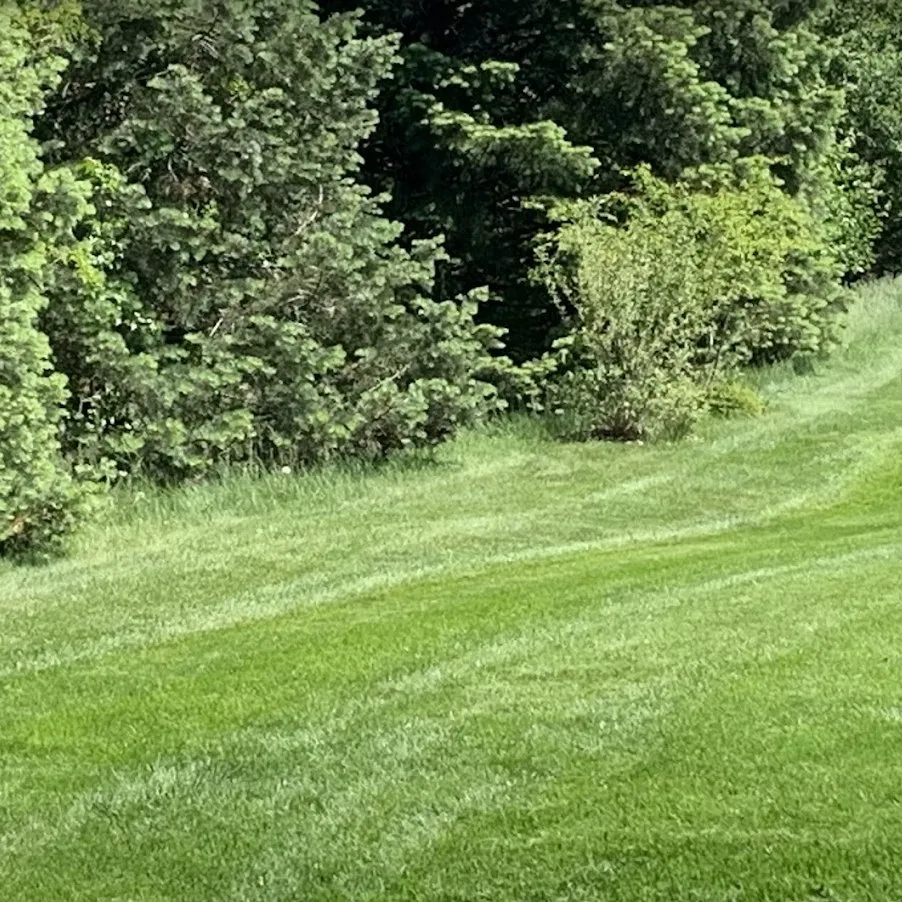 Trusted landscaping services in Moon township, PA - Harvest Lawn Care
