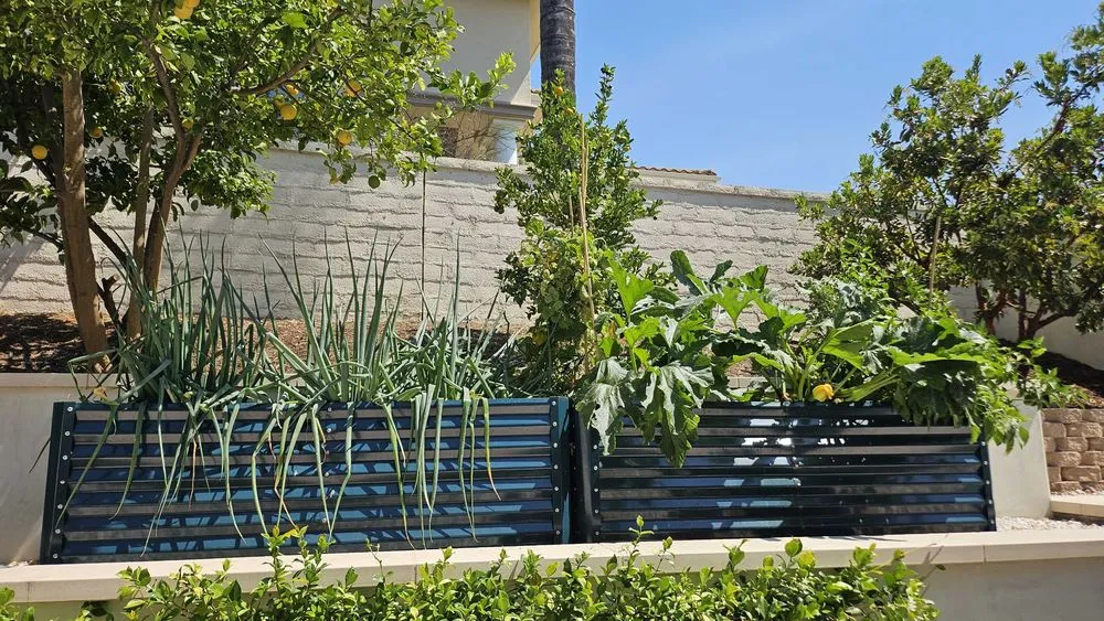 Top-rated landscape installation in Irvine, CA - Harvest to Home