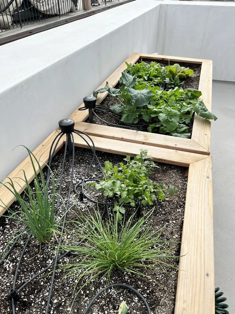 Custom lawn mowing service in Irvine, CA - Harvest to Home