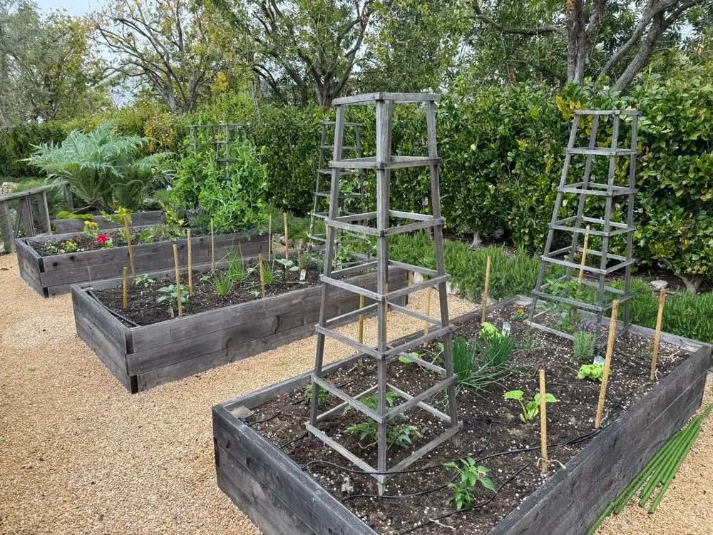 Top-rated yard maintenance in Irvine, CA by Harvest to Home