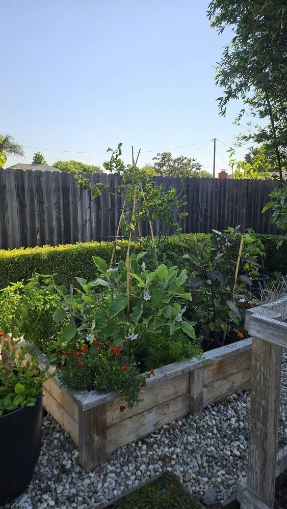 Trusted lawn care service for beautiful yards across Irvine, CA - Harvest to Home