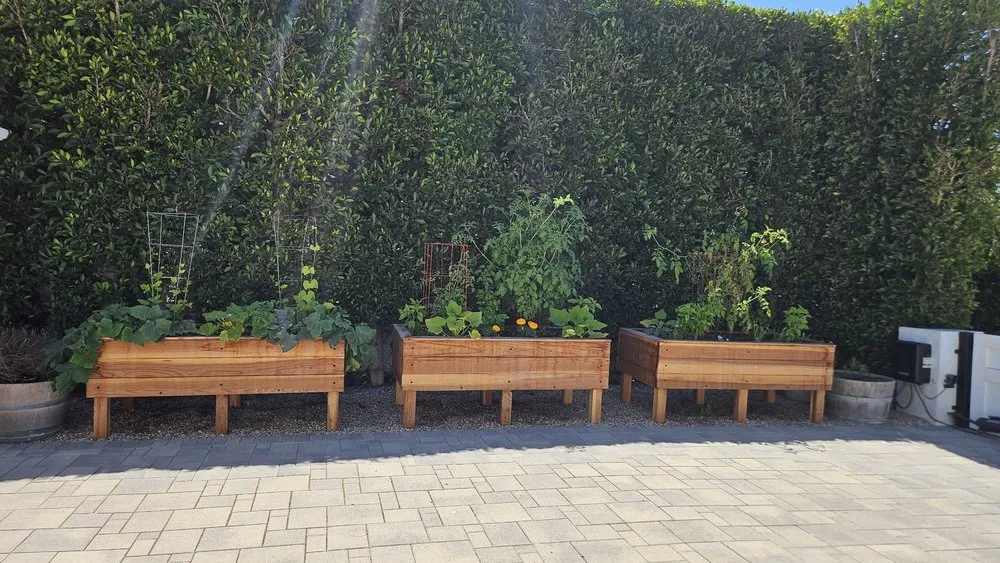 Top-rated outdoor landscaping in Irvine, CA - Harvest to Home