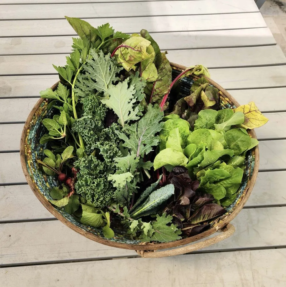 Professional landscape installation experts serving Irvine, CA - Harvest to Home