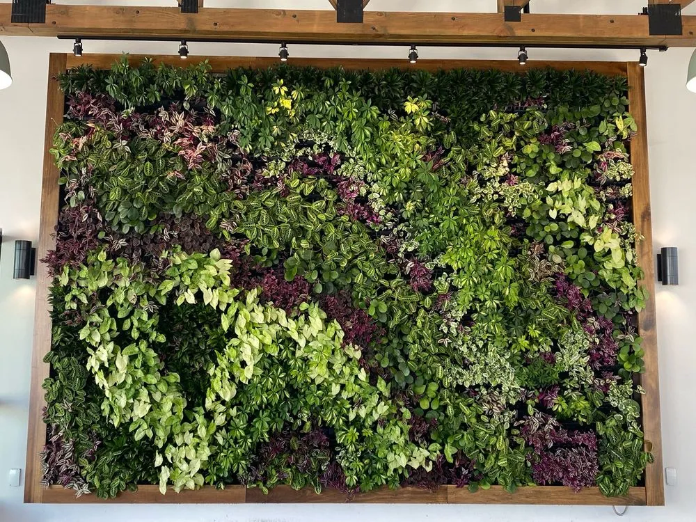 Trusted residential landscaping near you across Irvine, CA - Harvest to Home