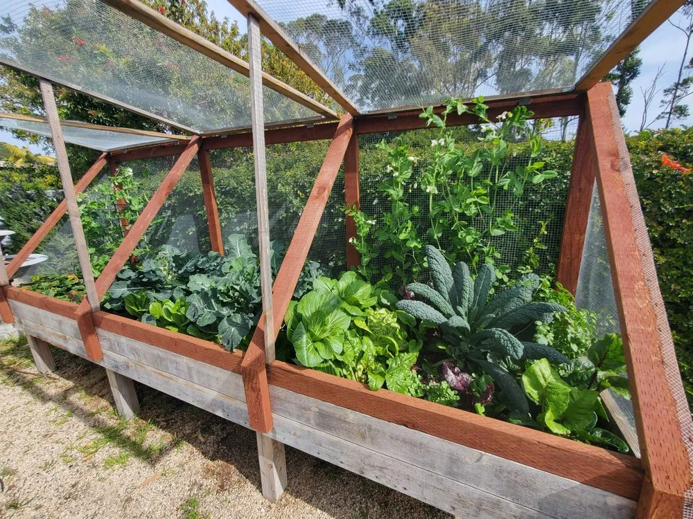 Reliable landscape design for outdoor upgrades in Irvine, CA by Harvest to Home