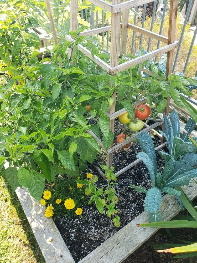 Affordable landscape design experts serving Irvine, CA - Harvest to Home