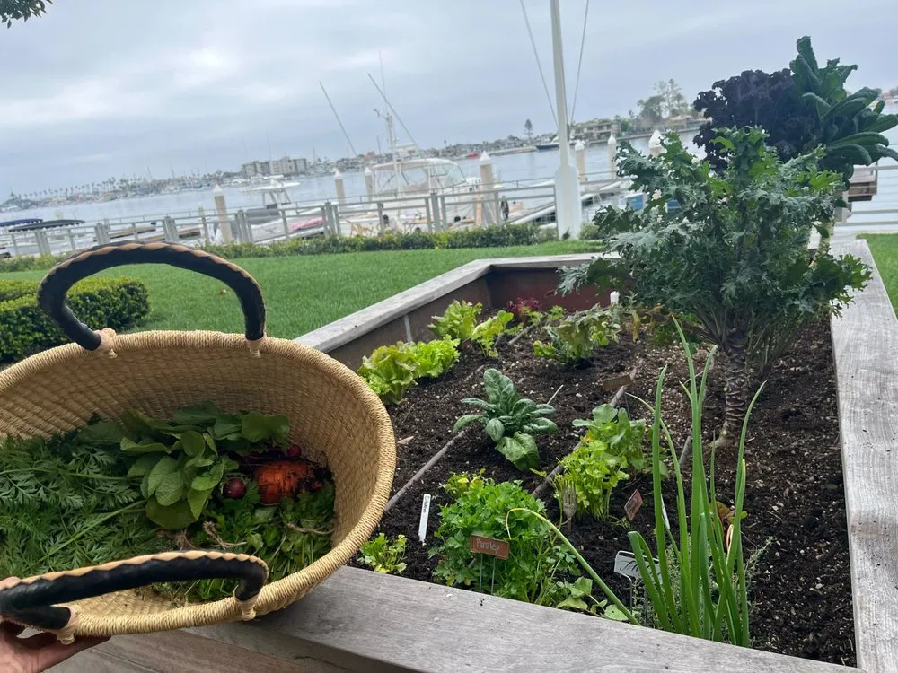 Professional landscaping services in Irvine, CA - Harvest to Home