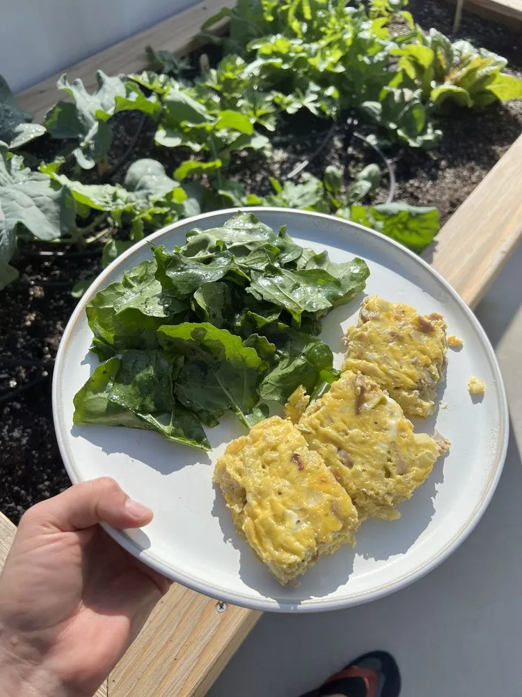 Affordable yard maintenance experts serving Irvine, CA - Harvest to Home