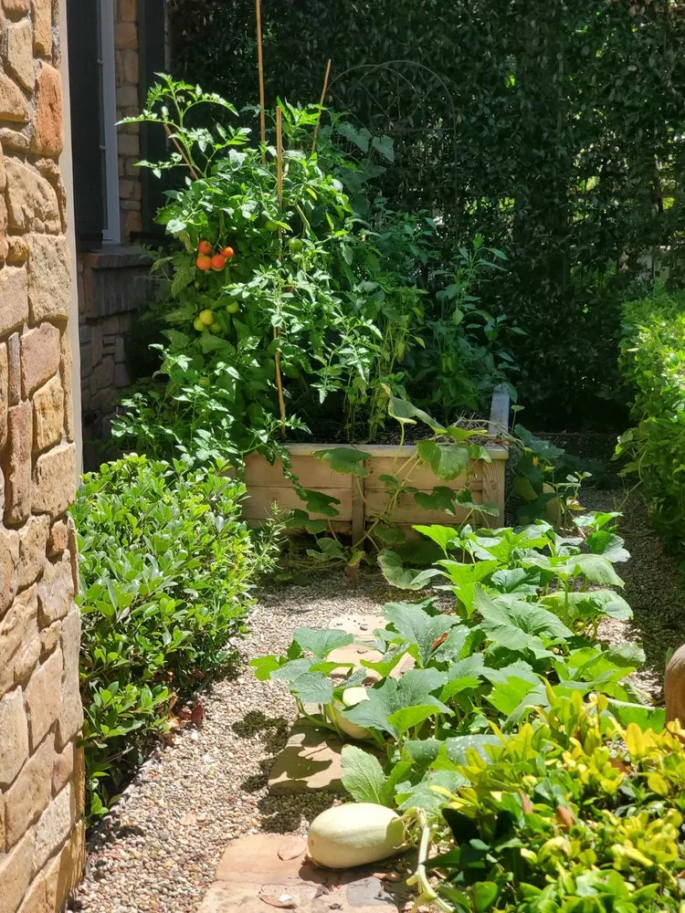 Professional lawn care service experts serving Irvine, CA - Harvest to Home